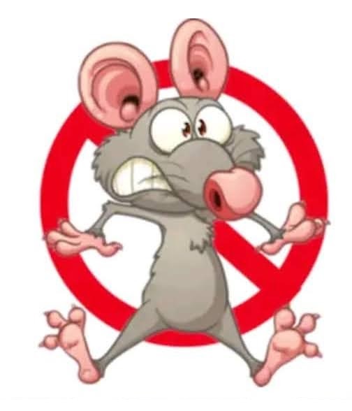 Sistema Anti-Ratas TLALNEPANTLA