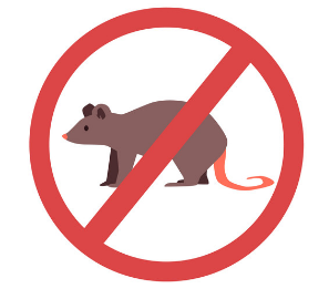 Sistema Anti-Ratas TLALNEPANTLA